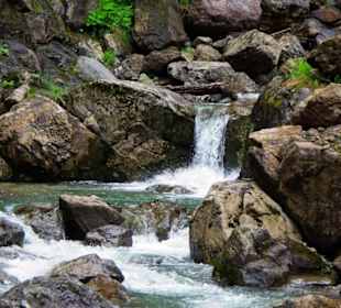 Der Plöckenpass 06-2011