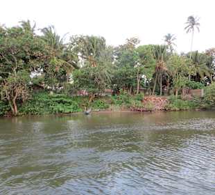 Flussfahrt vor dem Club Hotel Dolphin mit Haralds Boot
