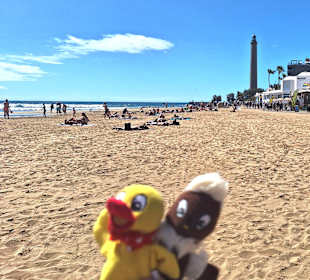 Am Strand mit Faro im Hintergrund