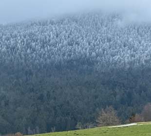 Wandern Lam