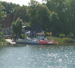 Schlei