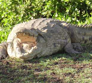Tsavo West Nationalpark