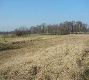 Wunderschöne Boberger Niederung