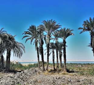 Klima, Kultur in der ägyptischen Oase Fayum 