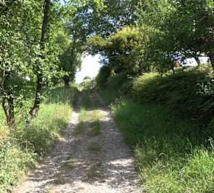 Wanderweg Ammerbucher Gigeleswegle