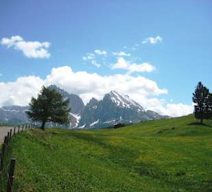Blütenwanderung auf der Seiser Alm