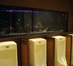 Herrentoilette