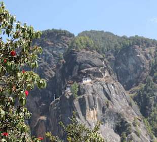 Taktsang Cafeteria