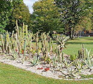 Kurpark