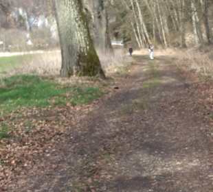 Fürstlicher Park Inzigkofen