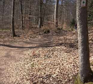 Geologischer Lehrpfad Kirnbachtal