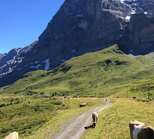 Eiger Nordwand