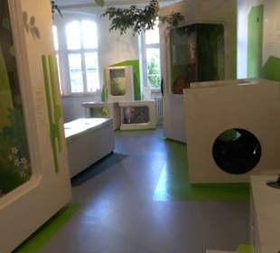 Museum Natur und Mensch