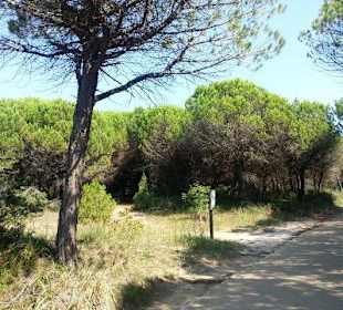 Links reiner Naturschutz