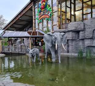 Abenteuer Dschungelland