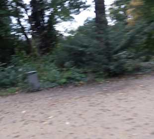 Schlosspark Charlottenburg