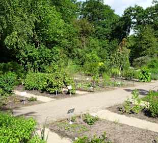 Spaziergang durch den Botanischen Garten Bremen