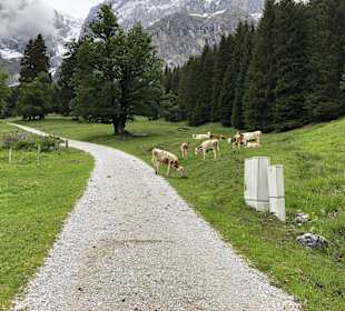 Wandern Mühlbach