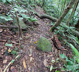 Parque Natural Obô do Príncipe