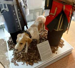 Barocke Jagd im Pavillon Hildesheim