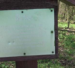 Baumlehrpfad Sontheim