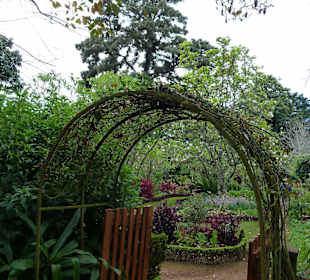 Blick durch den Garten