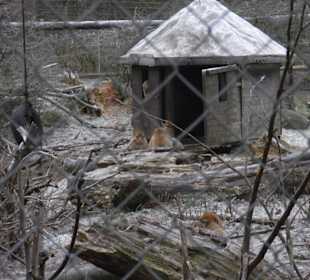 Tierpark 