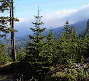 Riesengebirge/Karkonosze