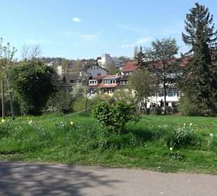 Rosengarten Villa Berg