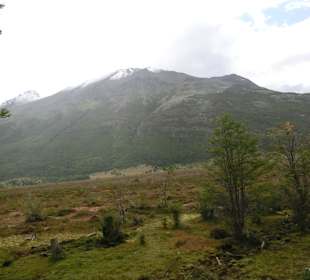 Natur pur in Patagonien