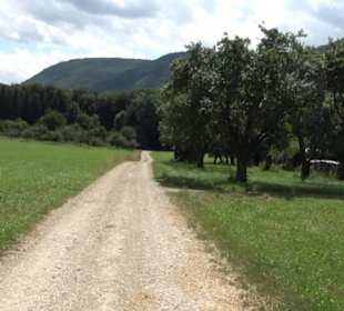 Hochgehnießen - Premiumspazierwanderweg