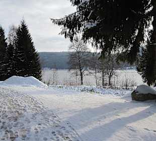 Spazierweg im Winter