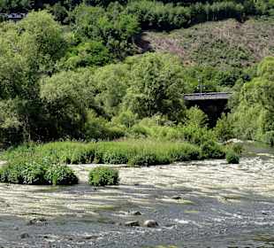 Überlauf der Fuldaarme