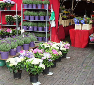 Rundgang über den Wochenmarkt am Marktplatz