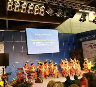 Vorführung Garde Fasching