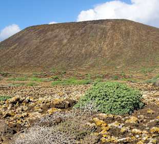 Impressionen von Lobos