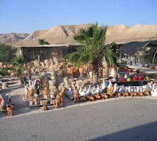 Sklep - Pustynia Judzka