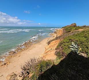Periurbano de La Barrosa Park