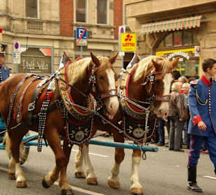 Hist.Kgl.Bayer. Bürgerwehrartillerie Wolkersdorf