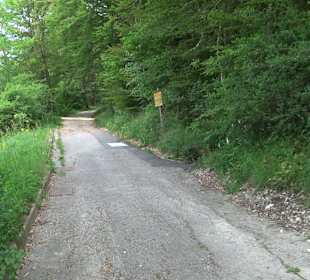 Waldlehrpfad in Tieringen