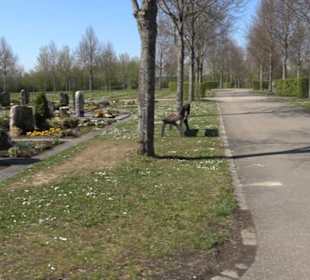 Neuer Friedhof
