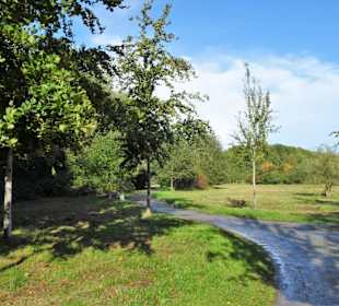 Rundgang durch den Landschaftspark Mühlenhunte