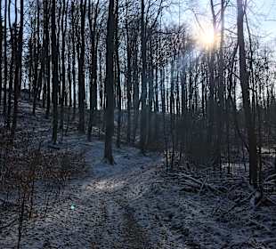 Winterspaziergang durch den Schlosspark