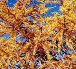 Auf dem Weg zum Kreuzkofeljoch (2340 m)