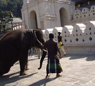 Dziedziniec przed Świątynia