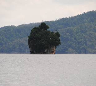 Kein Muffin - ein Mogote