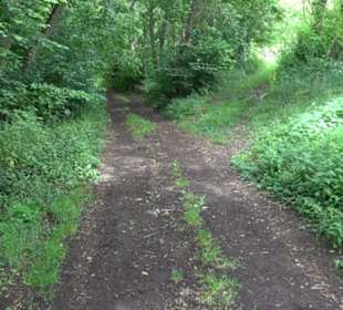 Wanderweg Märchensee Runde