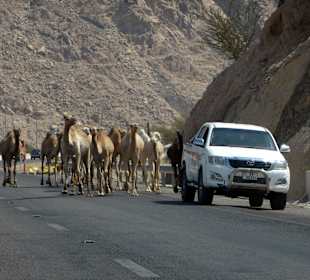 Wüstenlandschaft Wadi Rum