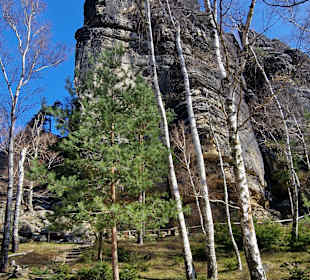 Wandern Bad Schandau