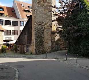 Zwinger 